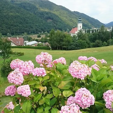 Ubytování v soukromí Haus Donaublick