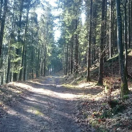 Haus Donaublick * Engelhartszell