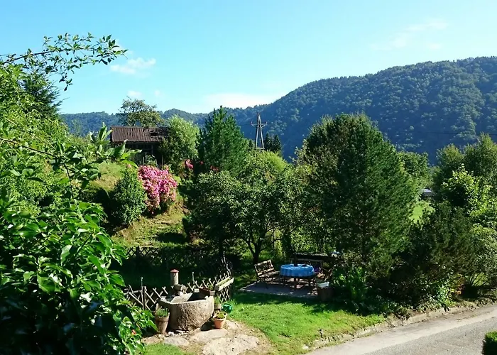 Haus Donaublick Habitación en casa particular *