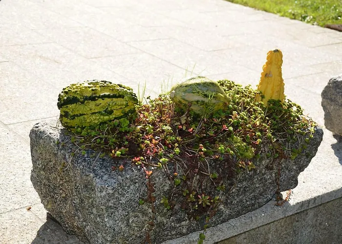 Habitación en casa particular Haus Donaublick Engelhartszell