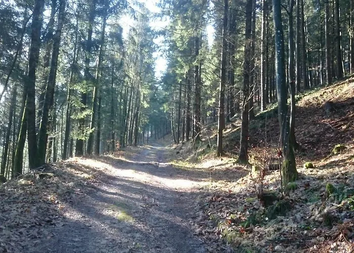 Haus Donaublick * Engelhartszell