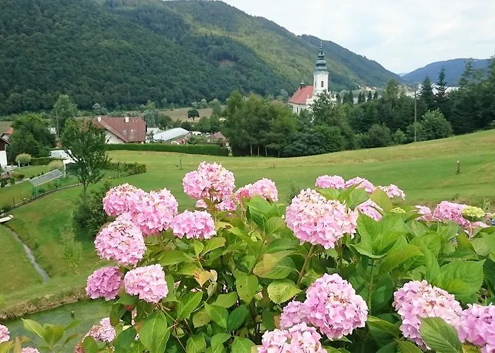 Homestay Haus Donaublick